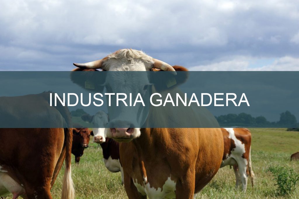 Industria Ganadera