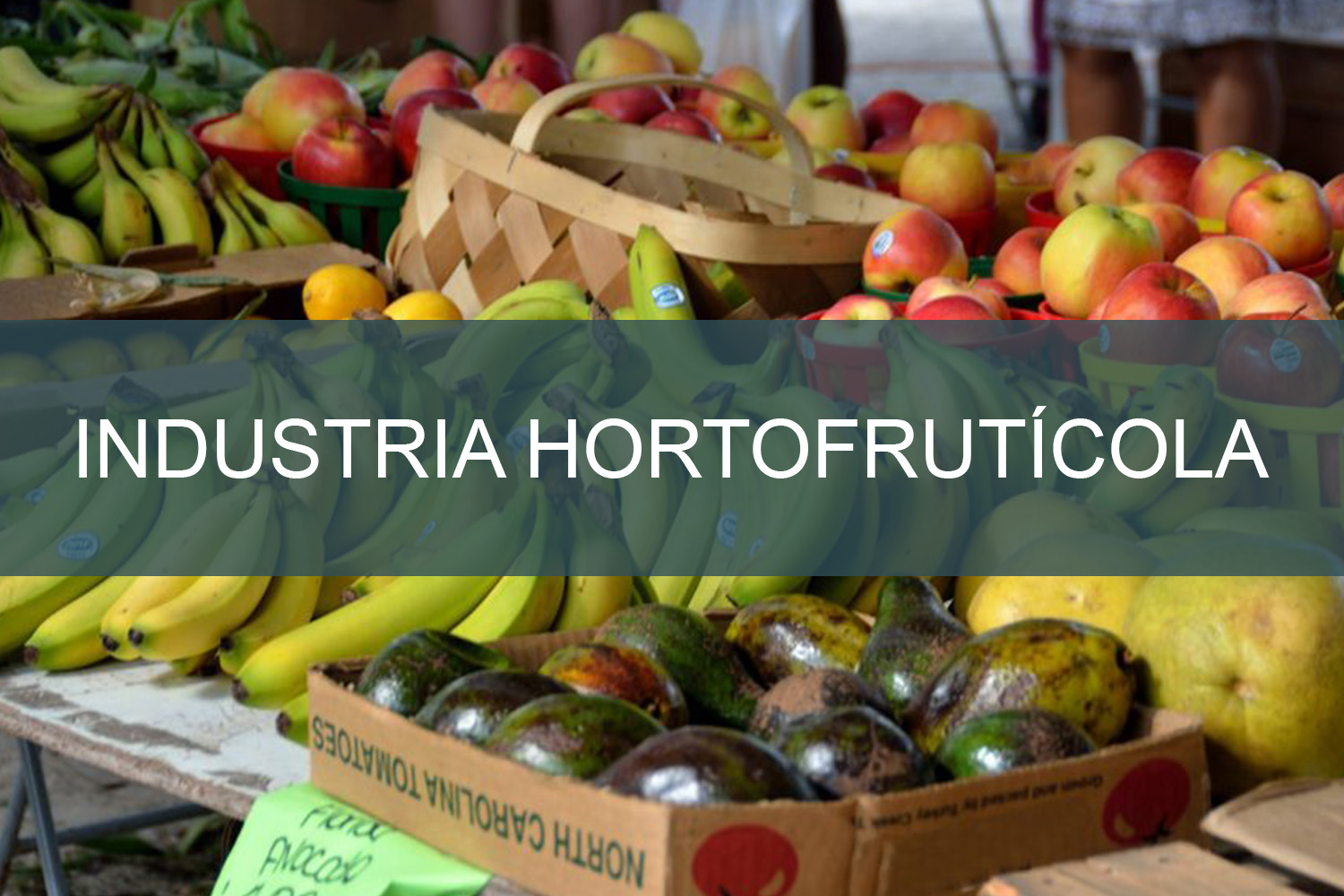 Industria Hortofrutícola