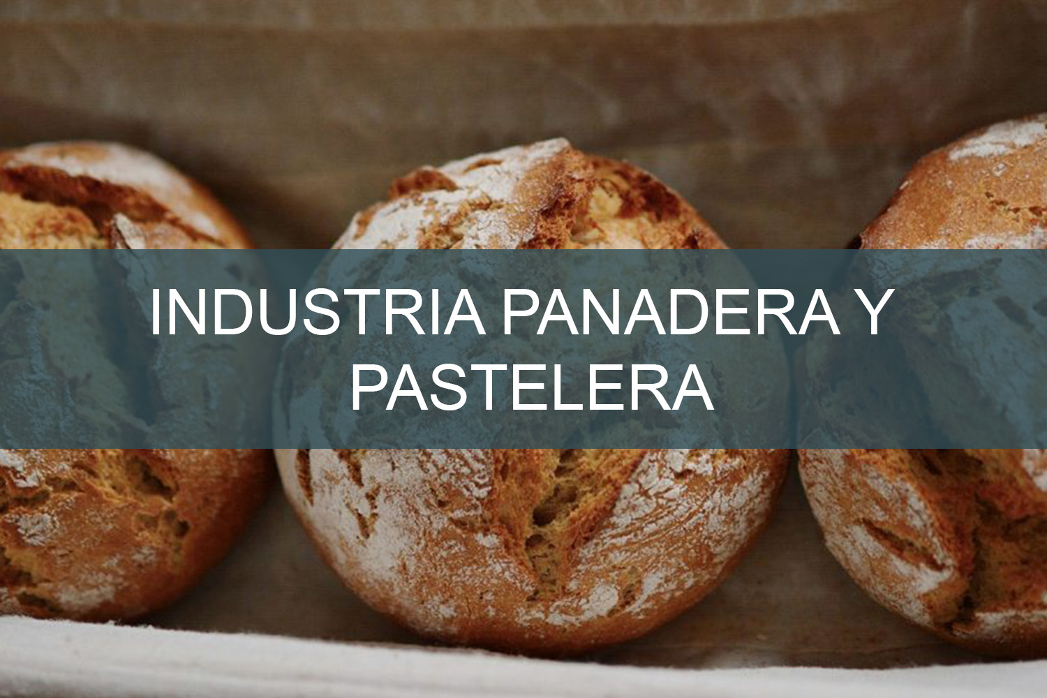 Industria Panadera y Pastelera