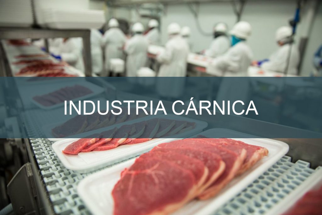 Industria-cárnica